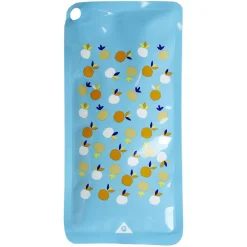 Accumuluteur de froid - plastique 20x9xép0,8cm