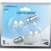 Ampoule LED à filament G45 lumière chaude 2,5W x2