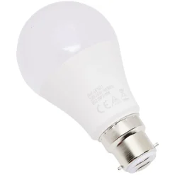 Ampoule LED A60 B22 x2