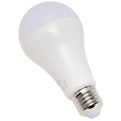 Ampoule LED A60 E27 x2