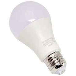 Ampoule LED A60 E27 x2