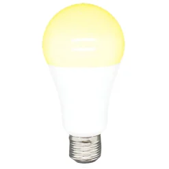 Ampoule LED connectée blanc ajustable E27 60 W
