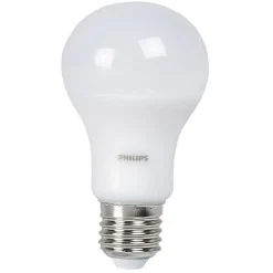 AMPOULE LED 60W E27 A60