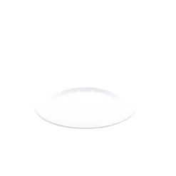 Assiette plastique coloré Ø 24 cm