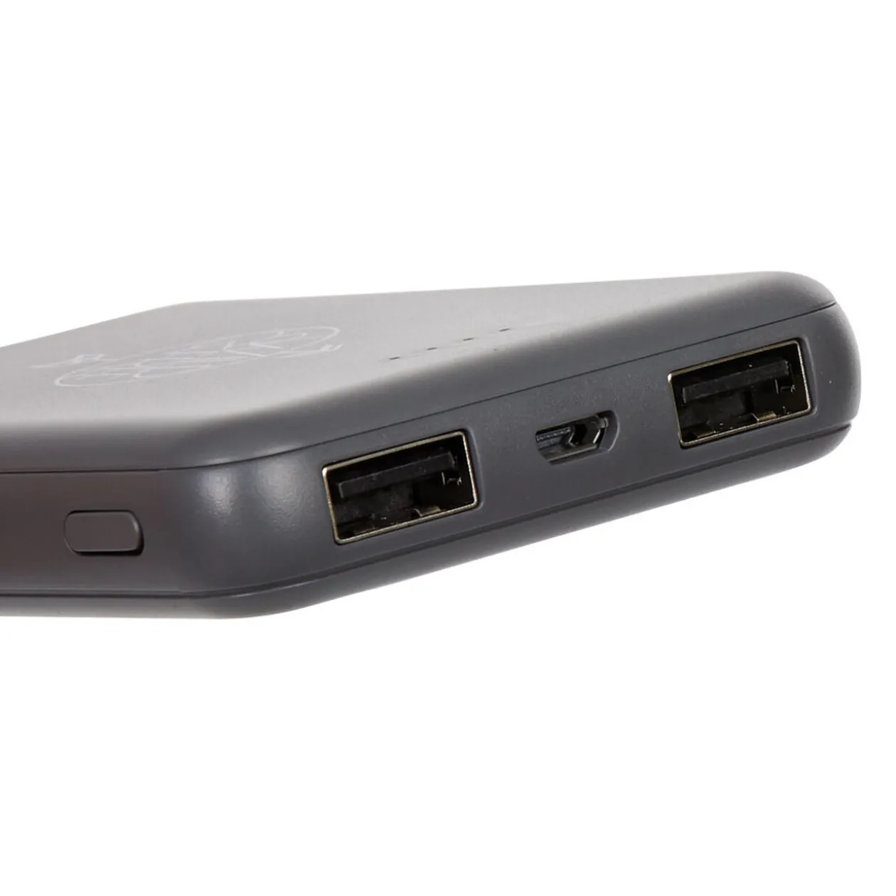 Batterie de secours grise incription Wild & Free