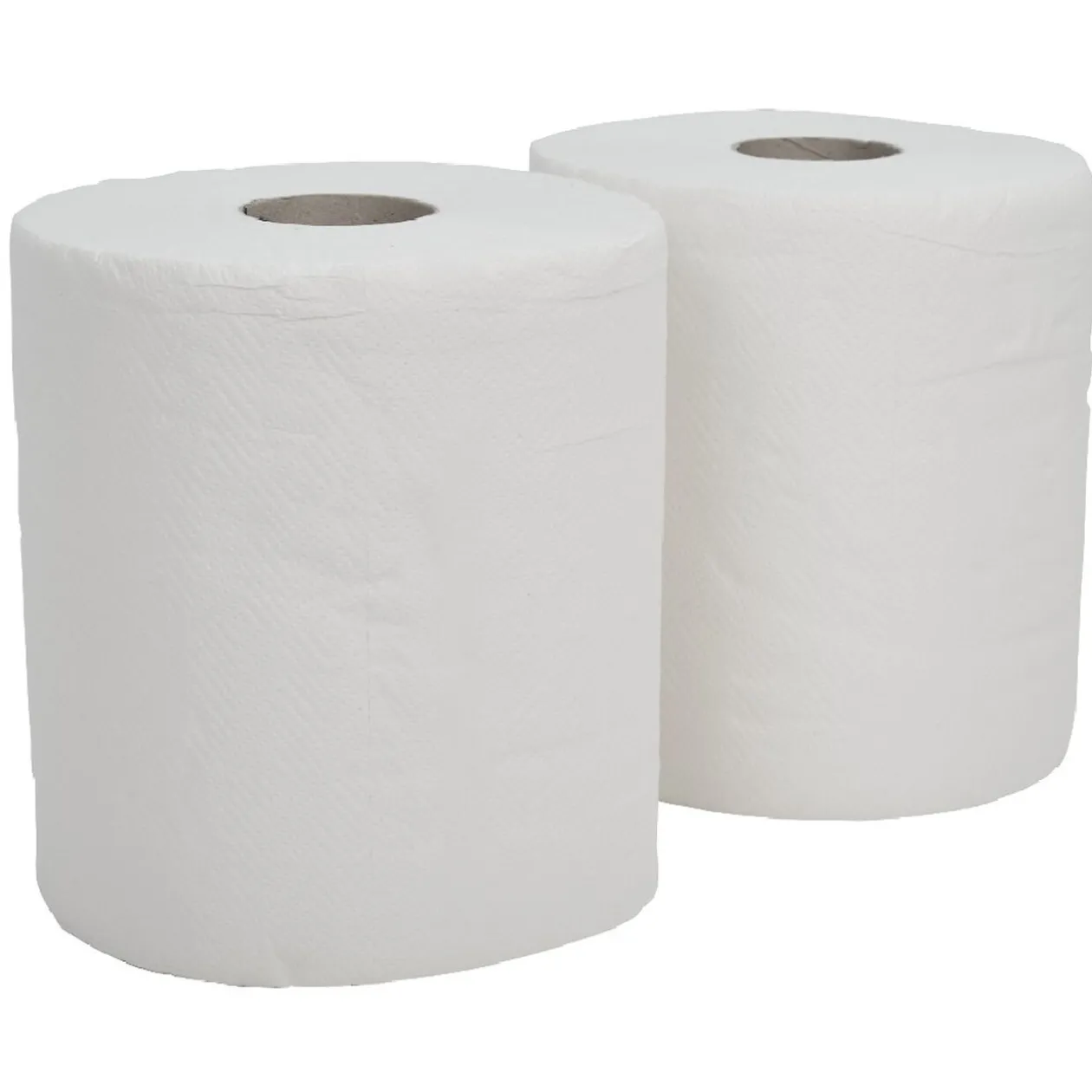 Bobine essuie tout Tenerella XL x2