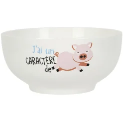 Bol humoristique en céramique