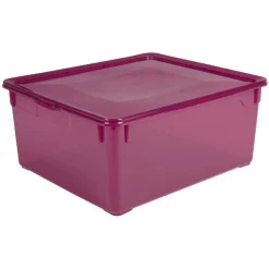 Boîte de rangement à couvercle violette 18 L