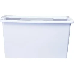 Boîte de rangement avec couvercle lavande transparent 40L