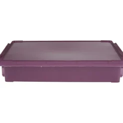 Boîte de rangement avec fermeture à clip violet 4 L