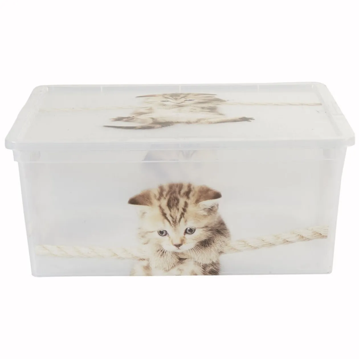 Boîte de rangement plastique 10 L design chat ou chiots