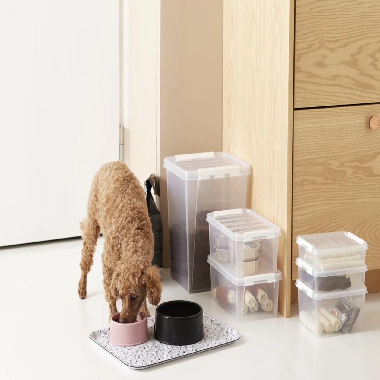 Boîte de rangement plastique transparent 1L