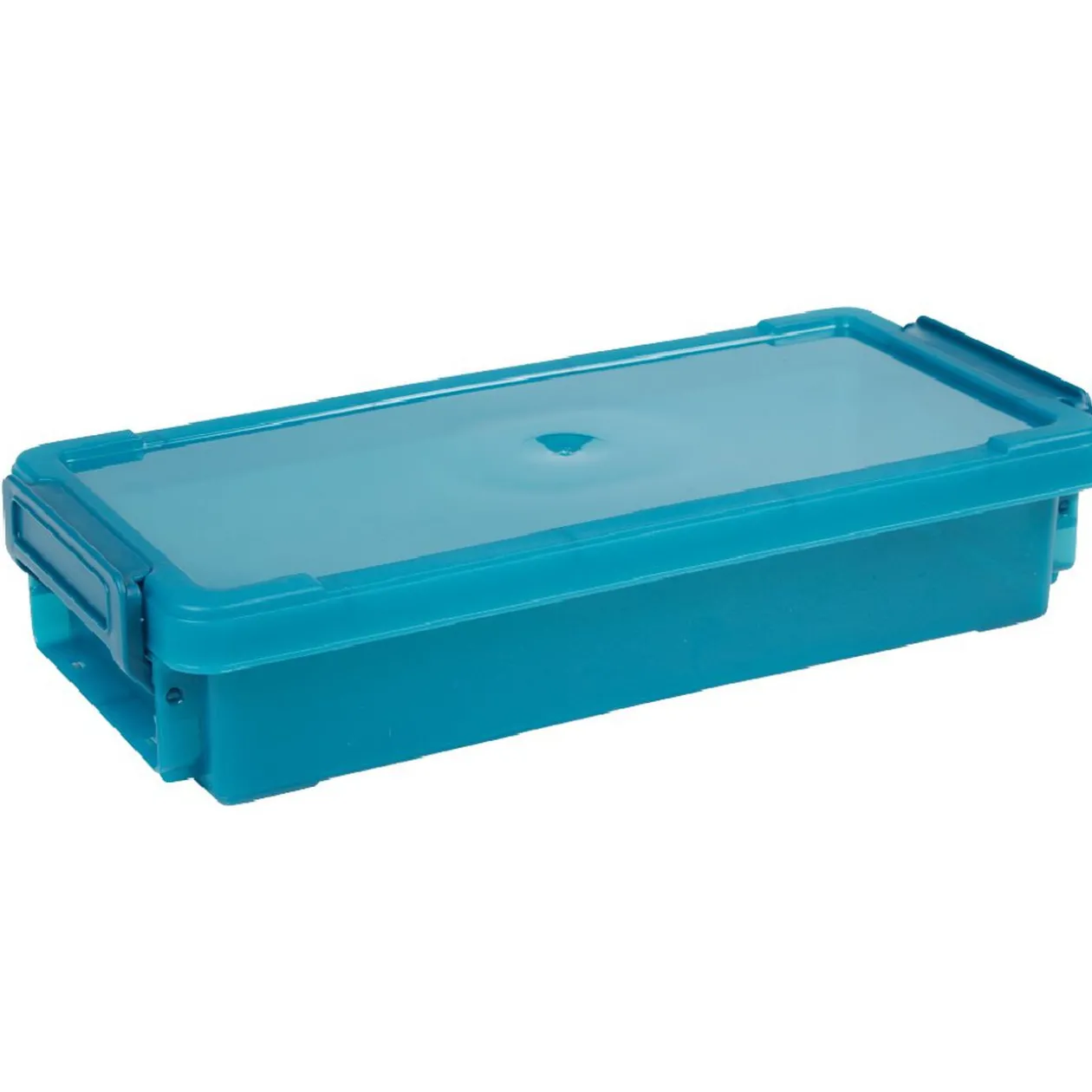 Boîte de rangement transparente à clip 0,55L