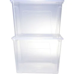 Boîte dessous de lit 21L x2