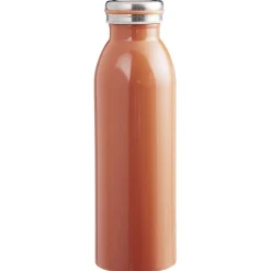 Bouteille isotherme inox uni 500 ml