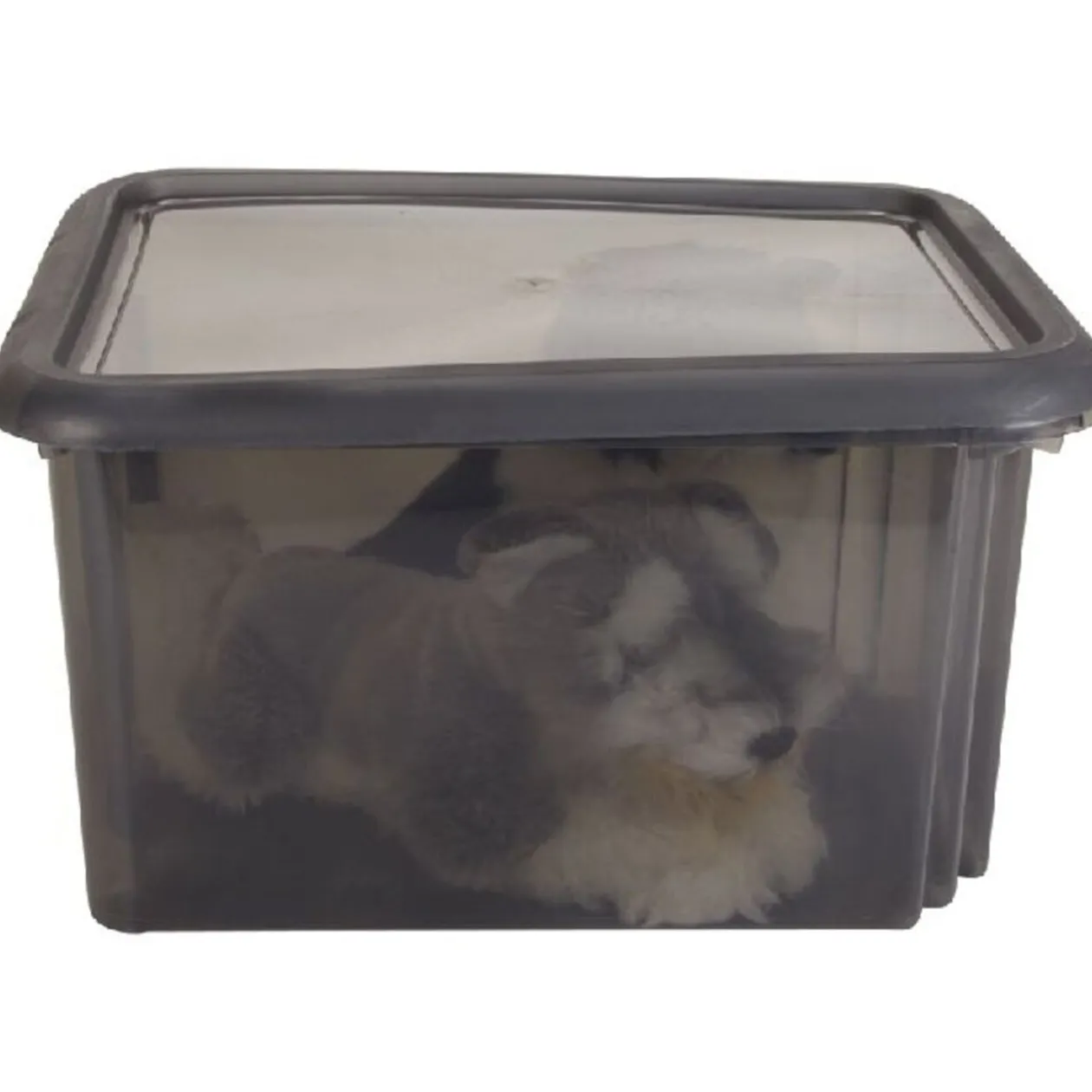 Box de rangement 30 L noir