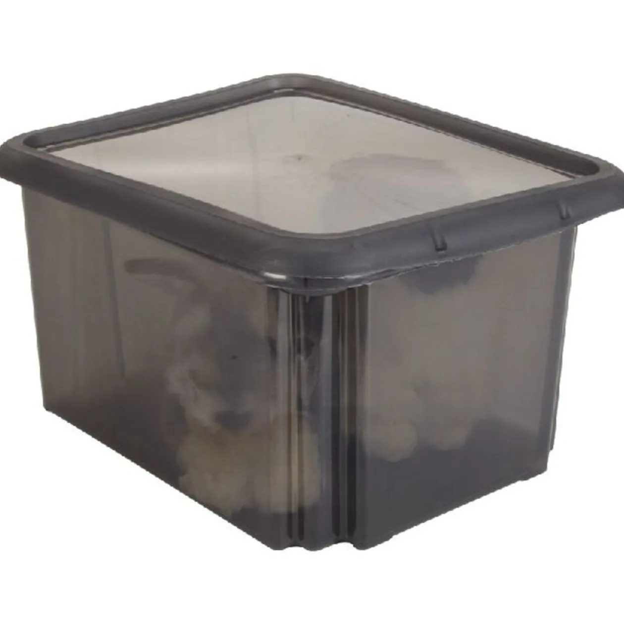 Box de rangement 30 L noir