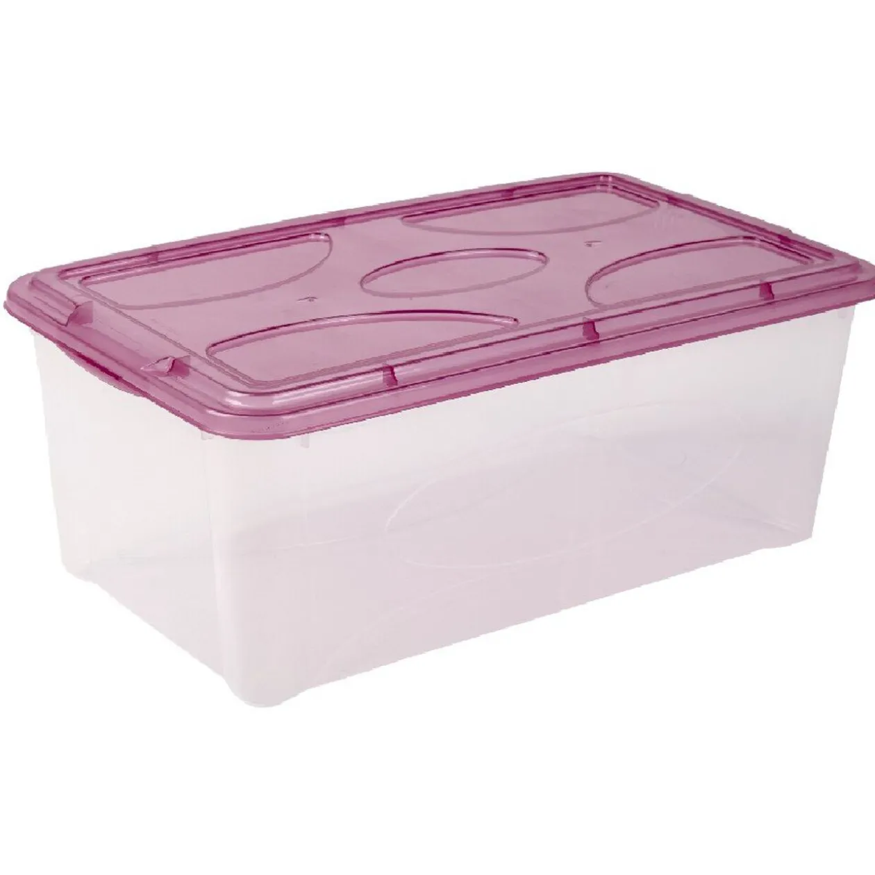 Box de rangement 10 L transparent et violet