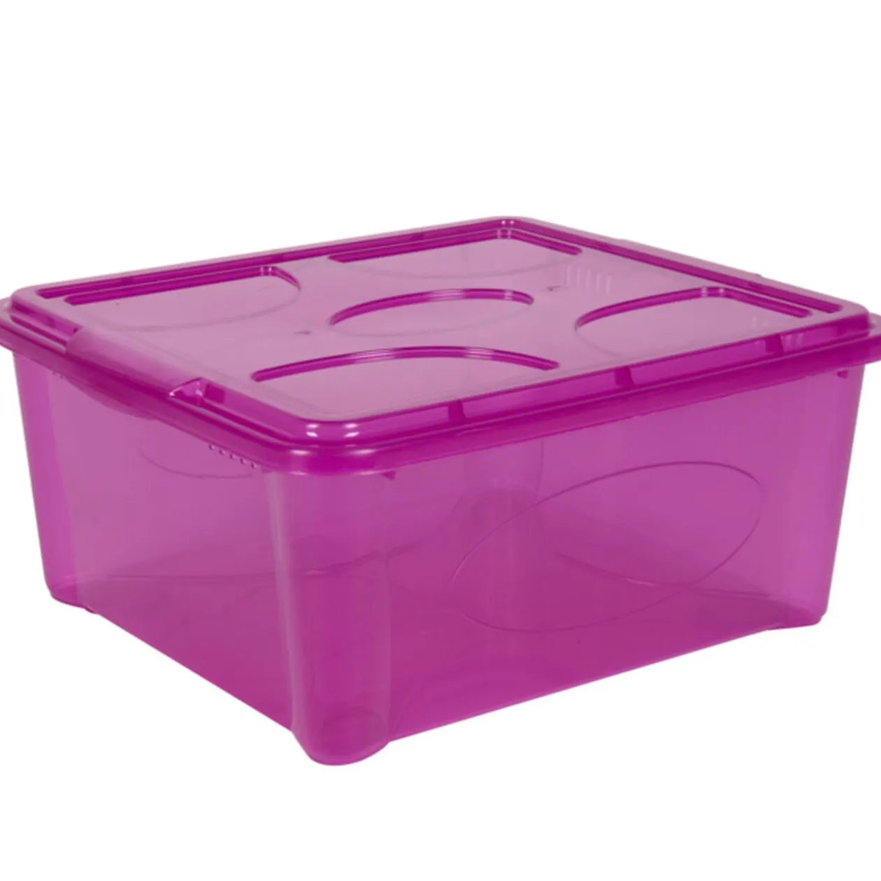 Box de rangement 18 L violet