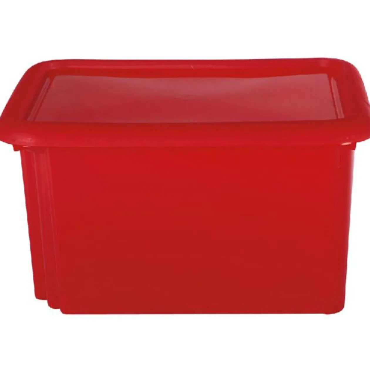 BOX DE RANGEMENT 30L