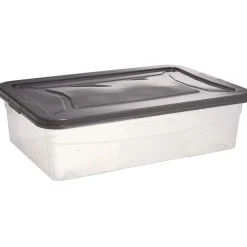 Box dessous de lit transparent et gris 30L