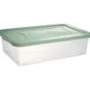 Box dessous de lit transparent et vert 30L