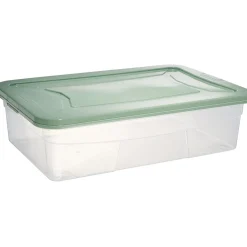 Box dessous de lit transparent et vert 30L