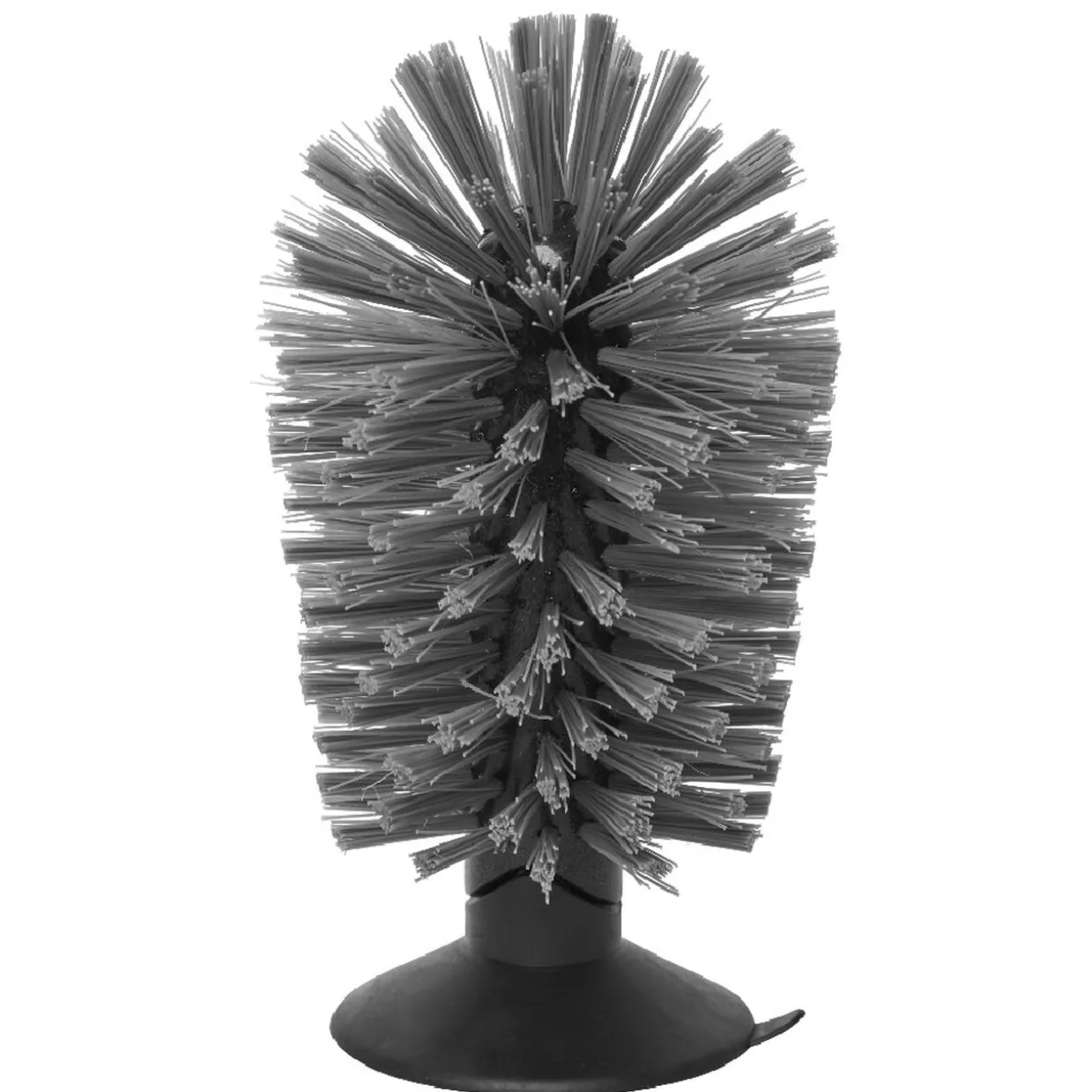 Brosse de nettoyage pour verres