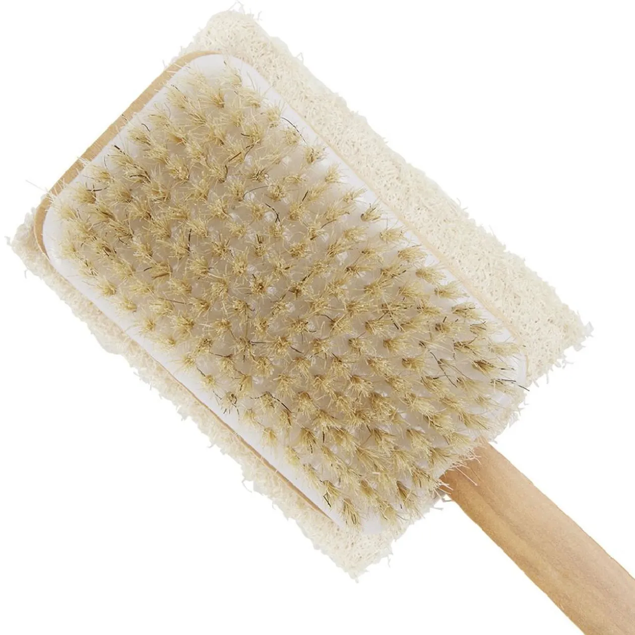 Brosse pour le corps double face brosse et éponge grattante