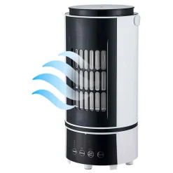 Chauffage rafraîchisseur d'air 2 en 1 800W noir