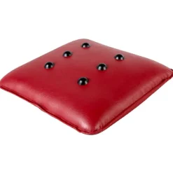 COUSSIN VIBRANT MASSANT