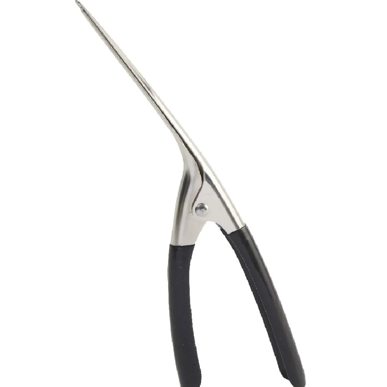 Décortiqueur à crevette inox