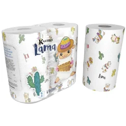 Essuie-tout 70 feuilles x2