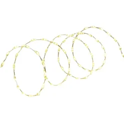 Fil lumineux 66 LED blanc chaud 1m