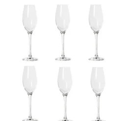 Flûte verre à vin cristallin gamme Wine Emotion 24 cl x6