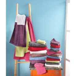 GANT DE TOILETTE X2 COULEUR GRIS FONCE