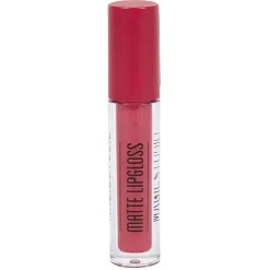 Gloss avec crayon à lèvres Magic studio