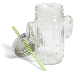 Gobelet 460ml forme cactus avec paille verre transparent