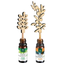 Kit diffuseur Mességué stick huiles essentielles Synergie x2