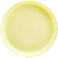 Lot de 6 assiettes en plastique réutilisable