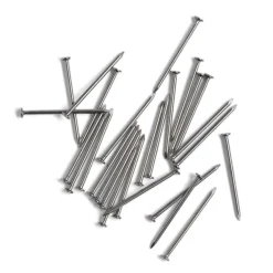 Lot de 50 pointes à tête plate 50mm