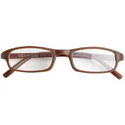 Lunette de lecture loupe
