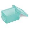 Mini boîte en plastique vert fermeture clips 0,30L - Lot de 2