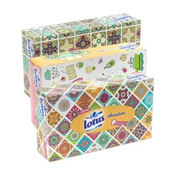 Mouchoirs en papier Lotus aventure 2 plis - Boîte de 100 pièces
