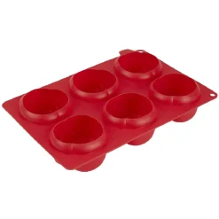 Moule silicone rouge 6 minis roses 3D