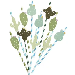 Paille cactus x20