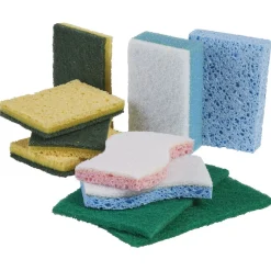 Éponge mélange x 10