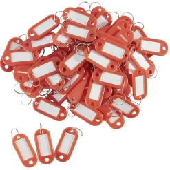 Porte étiquette pour clés x100