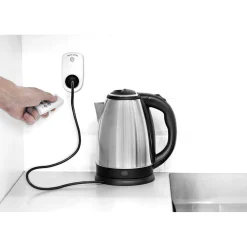 Prise x2 avec télécommande