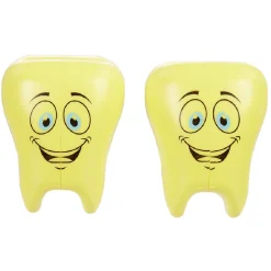 Range brosse à dents forme molaire